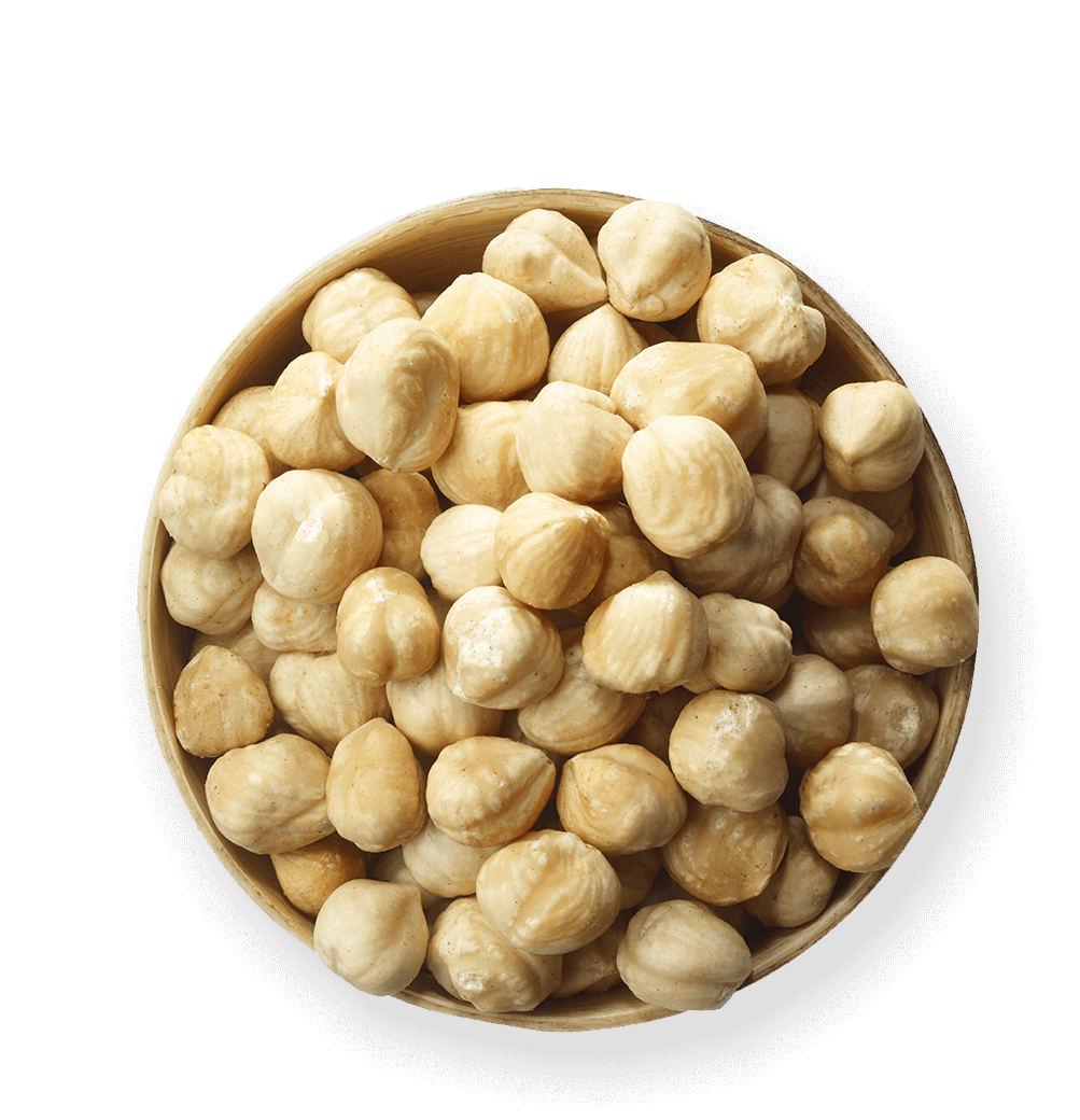 Macadamia nuts