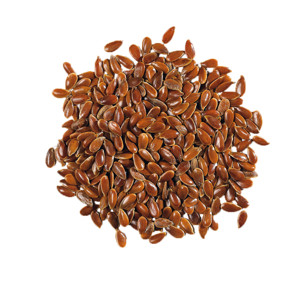 Flax seed