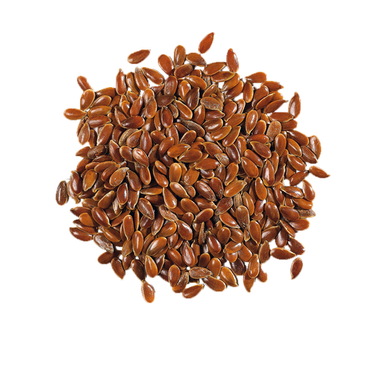 Flax seed