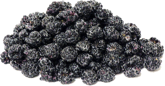 Dried Blackberry