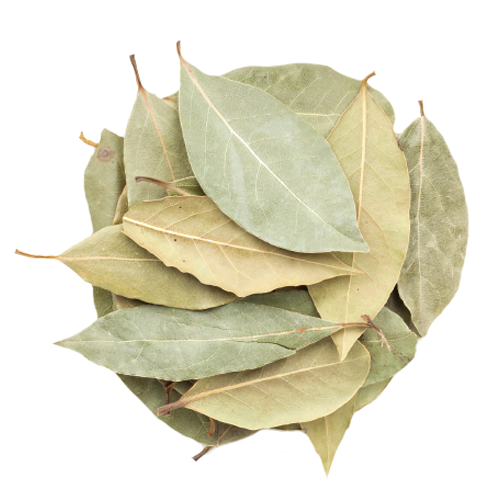 Bay Leaf